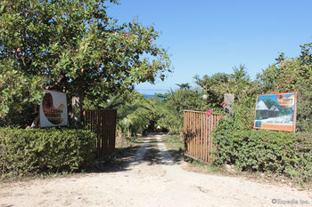 Cashew Grove Beach Resort Busuanga Luaran gambar